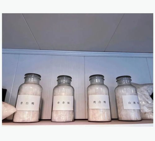 寶升家紡 年產(chǎn)20萬件羽絨制品項目 助跑 預(yù)計年產(chǎn)值同比增長233