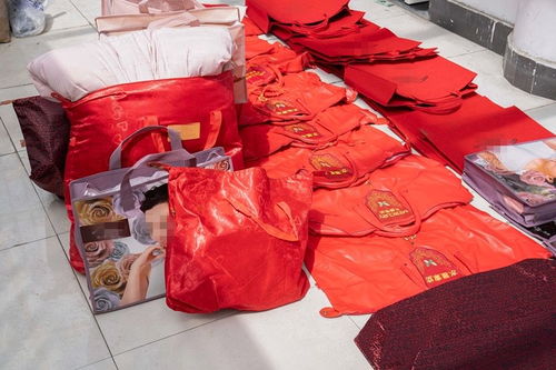 低至四折的明星產品藏貓膩 水星家紡大豆被遭仿冒，上海警方搗毀偽劣羽絨制品窩點